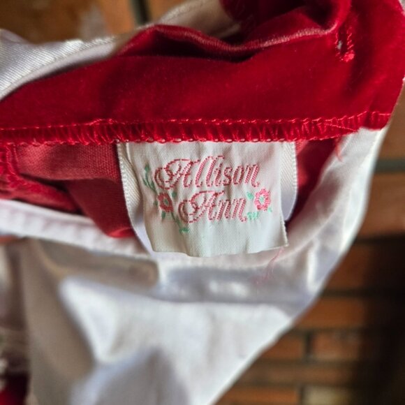 Vintage Allison Ann Velour Dress - Picture 4 of 7